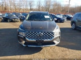 Hyundai Santa Fe Sel 5NMS2DAJXNH375001 fotografie