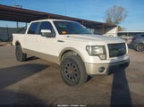 Ford F-150 King Ranch/Lariat/Platinum/Xl/Xlt 1FTPW12VX9FA56436 fotografie