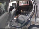 Miniaturka zdjęcia 8