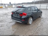 Miniaturka zdjęcia 4
