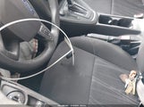 Miniaturka zdjęcia 11
