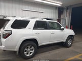 Toyota 4Runner Sr5 Premium JTEBU5JR1F5253004 снимка