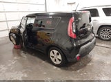 Miniaturka zdjęcia 3
