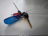 Miniaturka zdjęcia 11