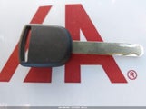 Miniaturka zdjęcia 11