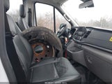 Miniaturka zdjęcia 5