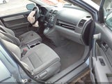Miniaturka zdjęcia 5