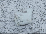 Toyota Tacoma Trd Off Road 3TMLB5JN0RM029510 снимка