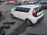 Miniaturka zdjęcia 3