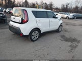 Miniaturka zdjęcia 4