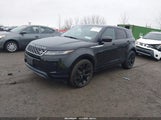 Miniaturka zdjęcia 2
