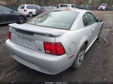 Miniaturka zdjęcia 4