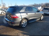 Mercedes-Benz Ml 350 Bluetec 4Matic 4JGDA2EB0EA279614 снимка