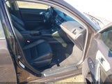 Miniaturka zdjęcia 5