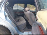 Miniaturka zdjęcia 8