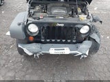 Miniaturka zdjęcia 10