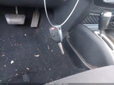 Miniaturka zdjęcia 11