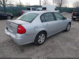 Chevrolet Malibu Lt 1G1ZU548X5F247905 снимка