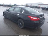 Nissan Altima 2.5/2.5 S/2.5 Sl/2.5 Sr/2.5 Sv 1N4AL3AP3GN350766 fotografie