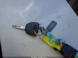 Miniaturka zdjęcia 11