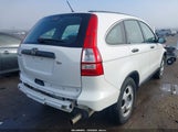 Miniaturka zdjęcia 4