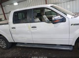 Ford F-150 Fx2 Sport/Harley-Davidson/King Ranch/Lariat/Platinum/Xl/Xlt 1FTFW1CV3AFD29294 снимка