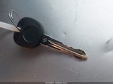 Miniaturka zdjęcia 11