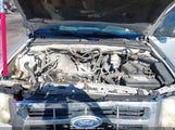 Ford Escape Xlt 1FMCU9D77BKA78288 fotografie