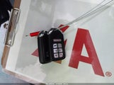 Miniaturka zdjęcia 11