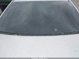 Acura Tsx JH4CU26659C025804 снимка