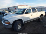 Dodge Dakota Slt 1D7HG48NX3S363779 снимка