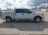 Ford F-150 Fx2 Sport/Xl/Xlt 1FTEW1C81AKE70295 снимка