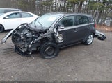 Miniaturka zdjęcia 2