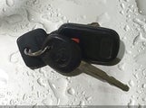 Miniaturka zdjęcia 11