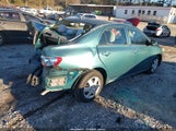 Miniaturka zdjęcia 4