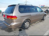 Honda Odyssey Ex-L 5FNRL18933B113728 снимка
