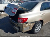 Toyota Corolla Le 5YFBU4EE9CP071877 fotografie