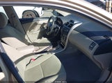 Toyota Corolla Le 5YFBU4EE9CP071877 fotografie