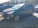 Miniaturka zdjęcia 2