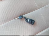 Miniaturka zdjęcia 11