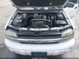 Chevrolet Trailblazer Ls 1GNDT13S862196351 снимка