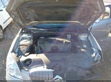 Miniaturka zdjęcia 10