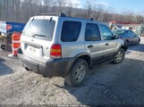 Ford Escape Xlt/Xlt Sport 1FMYU03176KC44071 fotografie