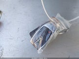 Miniaturka zdjęcia 11