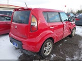 Miniaturka zdjęcia 4