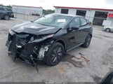Miniaturka zdjęcia 2