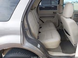 Miniaturka zdjęcia 8