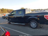 Ford F-150 Xlt 1FTFW1CT4DKD67594 снимка