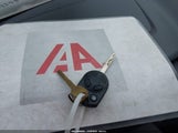 Miniaturka zdjęcia 11