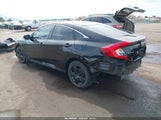 Miniaturka zdjęcia 3
